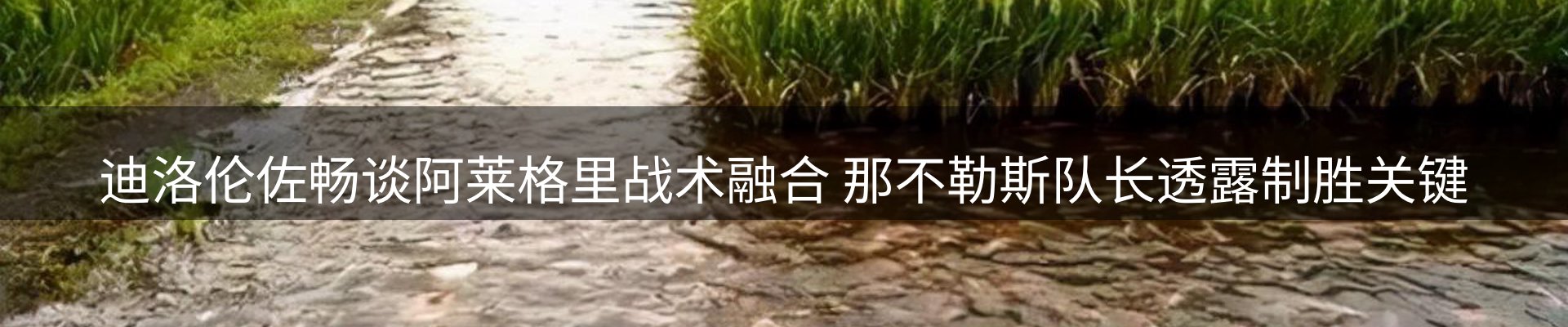 新闻中心
